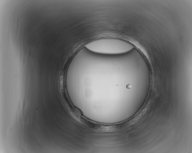 X0000115610057200911100940