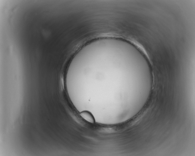 X0000115610061200911100940