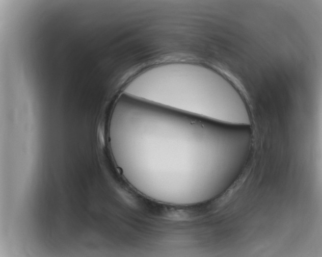 X0000115610062200911100940