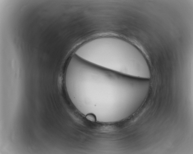 X0000115610063200911100940