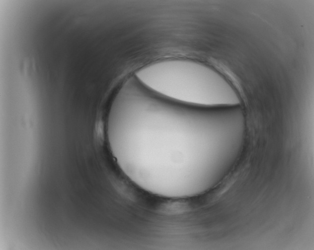 X0000115610067200911100940