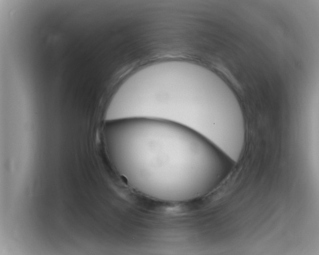 X0000115610068200911100940