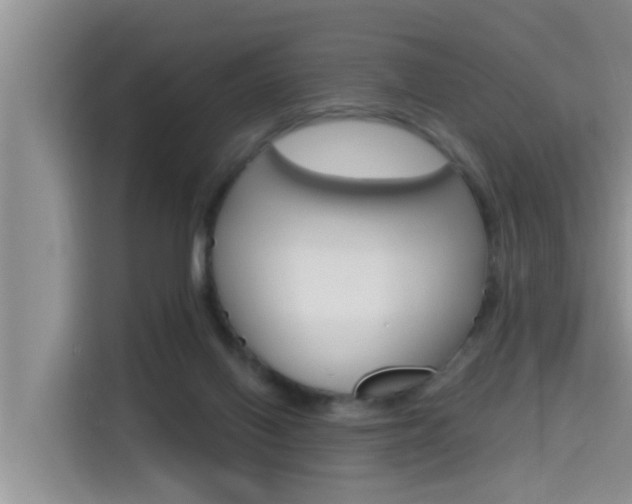X0000115610070200911100940