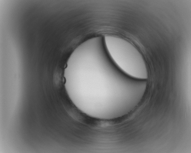 X0000115610073200911100940