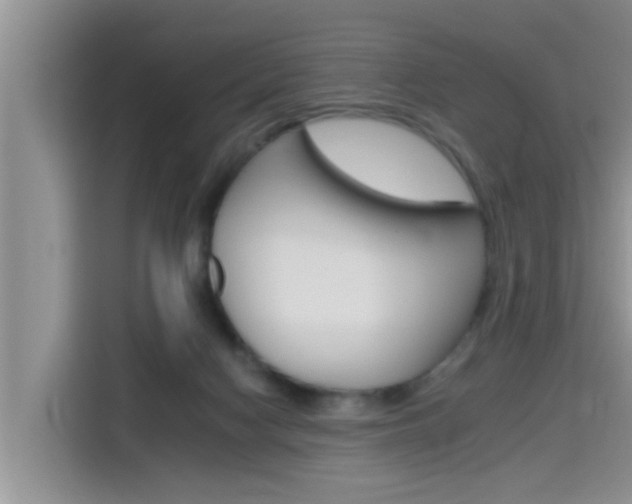 X0000115610074200911100940