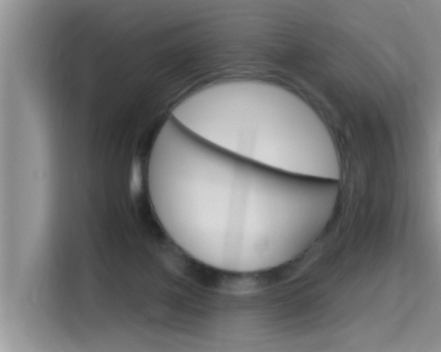 X0000115610075200911100940