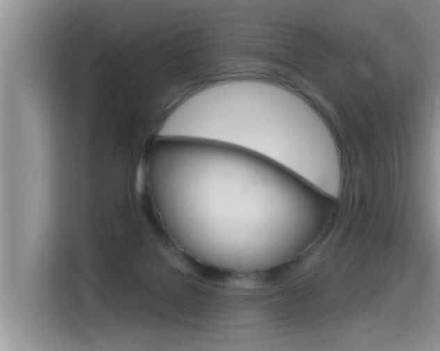 X0000115610076200911100940