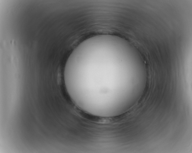 X0000115610080200911100940