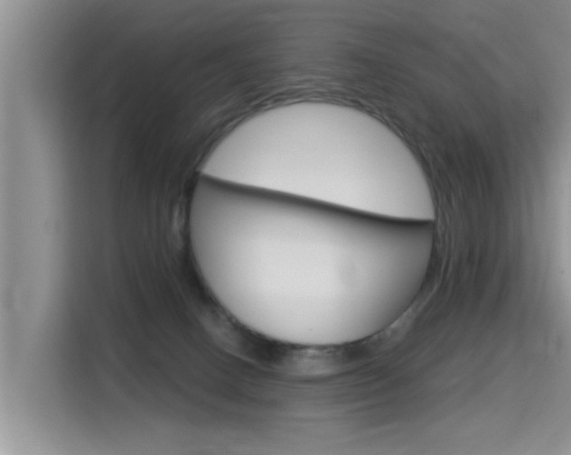 X0000115610082200911100940
