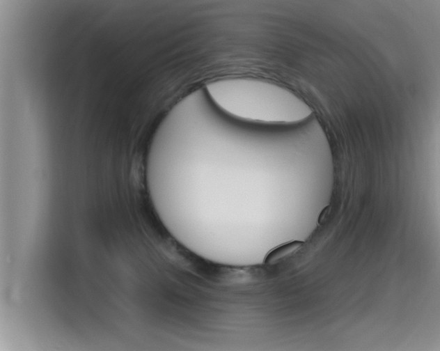 X0000115610083200911100940