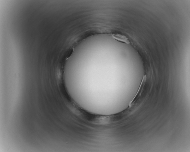 X0000115610084200911100940