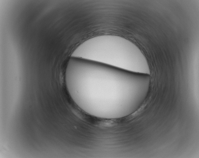 X0000115610086200911100940