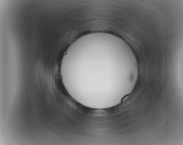 X0000115610087200911100940