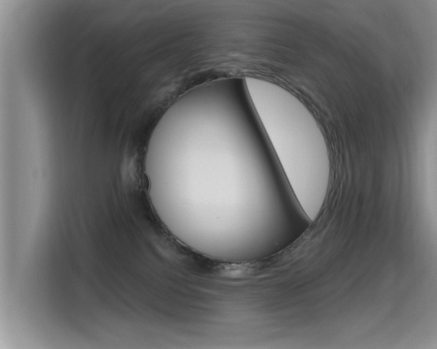 X0000115610088200911100940