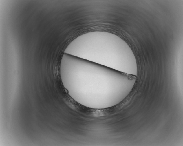 X0000115610091200911100940