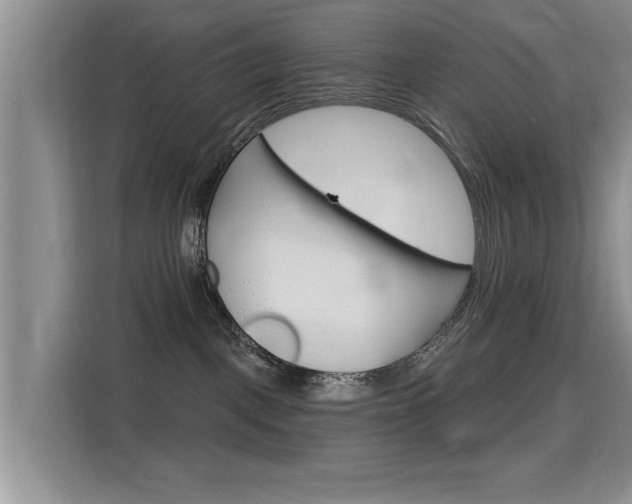 X0000115610093200911100940