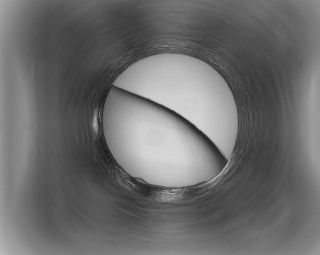 X0000115610094200911100940