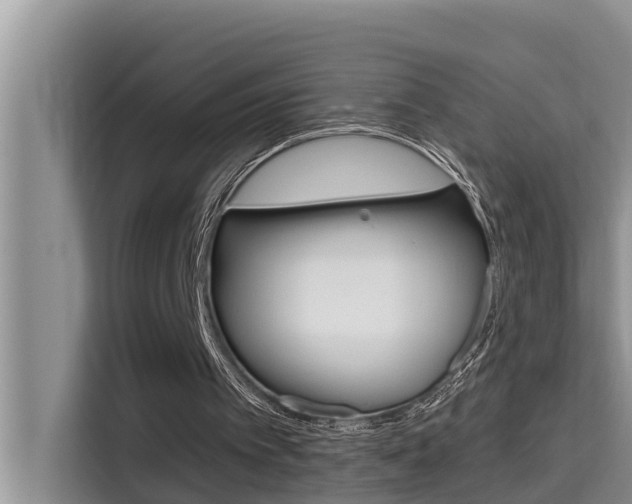X0000115610097200911100940
