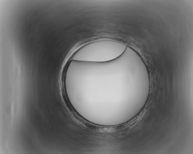 X0000115610102200911100940