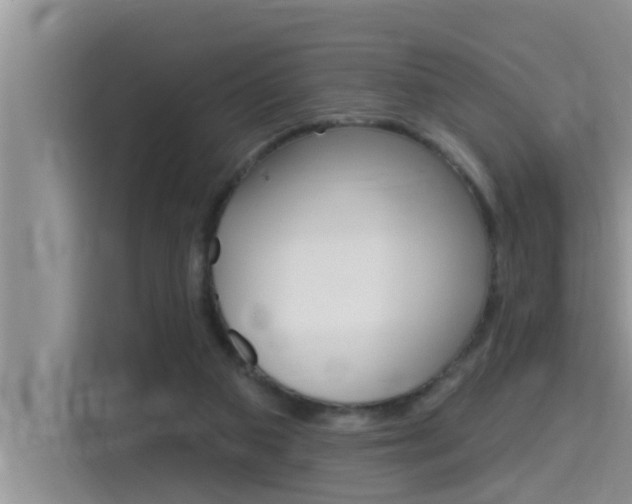 X0000115610113200911100939