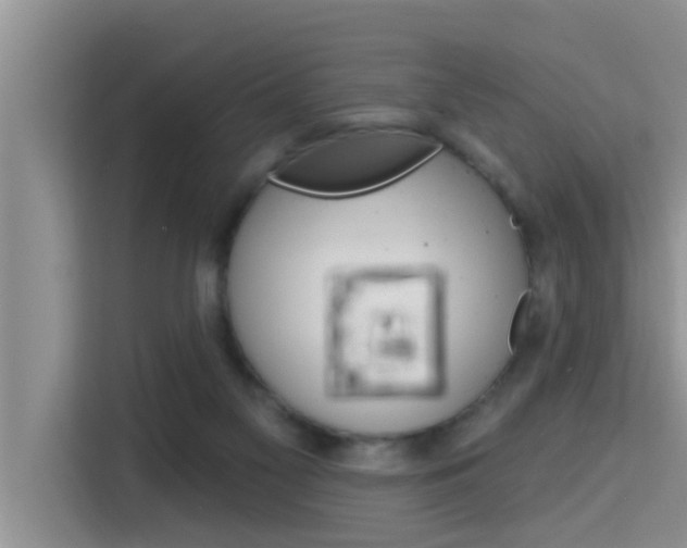 X0000115610117200911100939