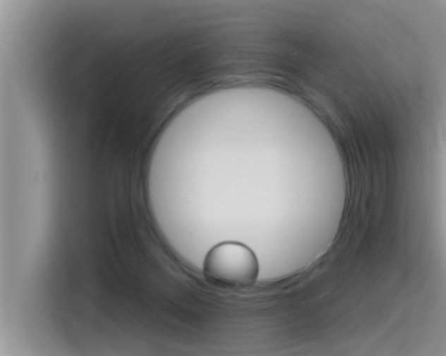 X0000115610120200911100939