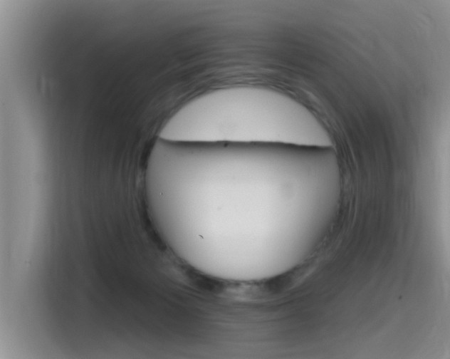 X0000115610125200911100939