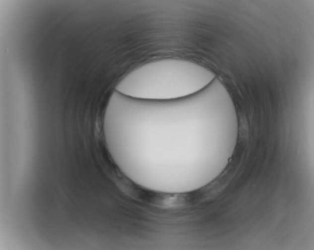 X0000115610130200911100939