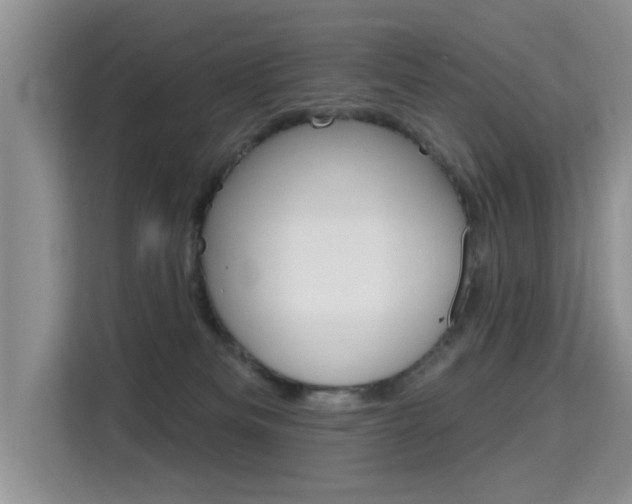 X0000115610133200911100939