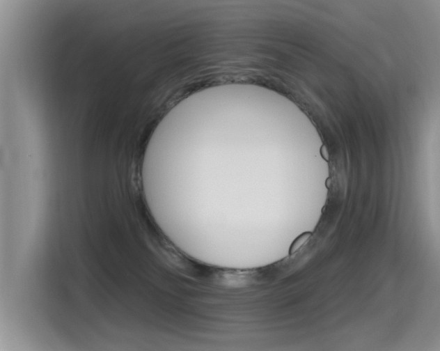 X0000115610134200911100939