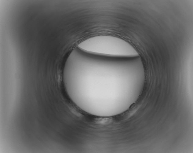 X0000115610135200911100939