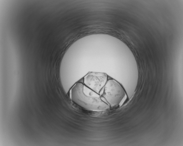 X0000115610136200911100939