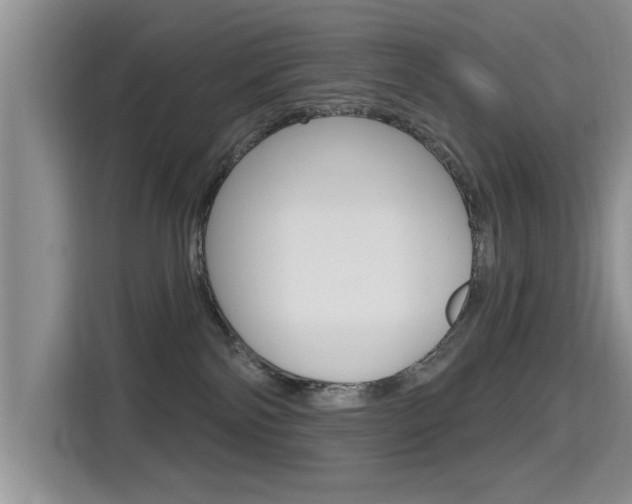 X0000115610138200911100939