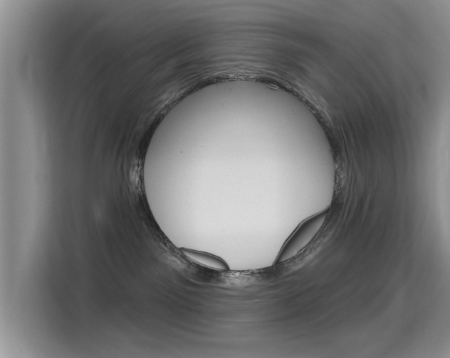 X0000115610141200911100939
