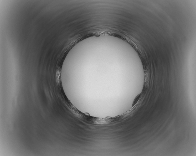 X0000115610142200911100939