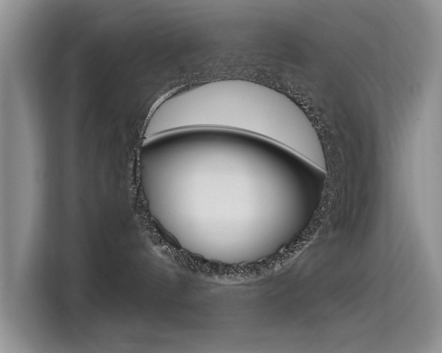 X0000115610144200911100939