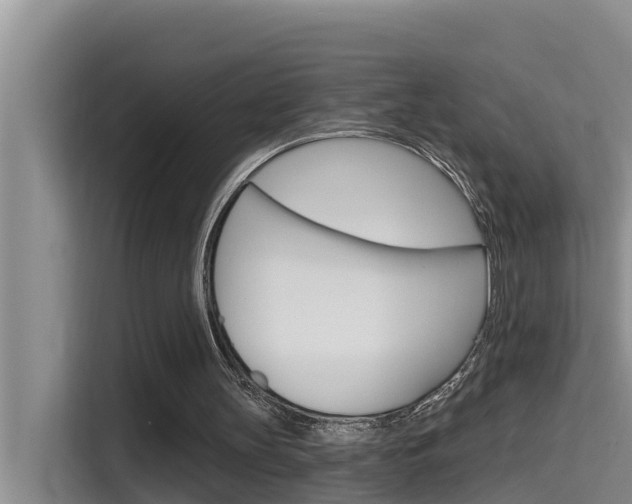 X0000115610147200911100938