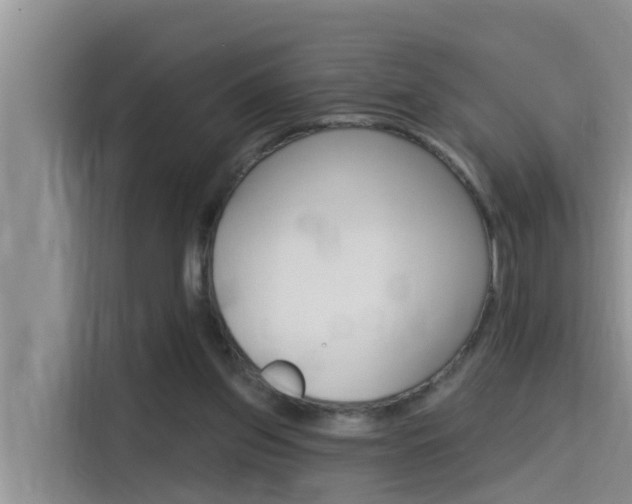 X0000115610157200911100938