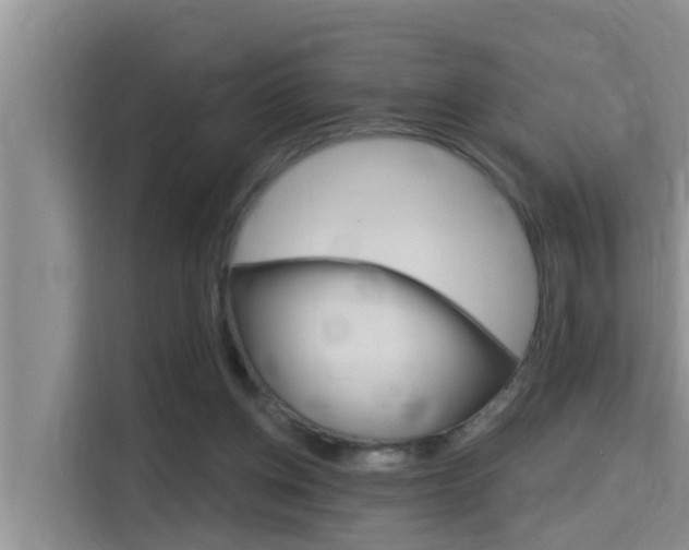 X0000115610158200911100939