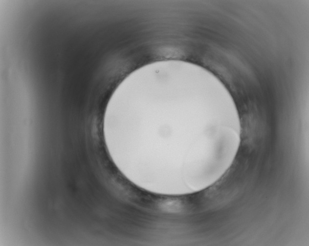 X0000115610162200911100939