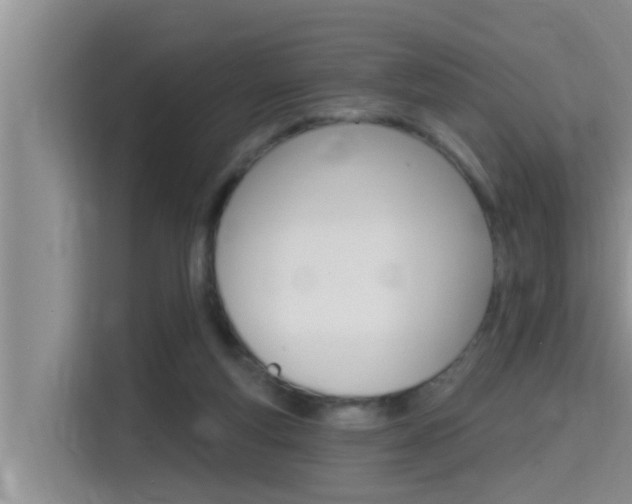 X0000115610163200911100939