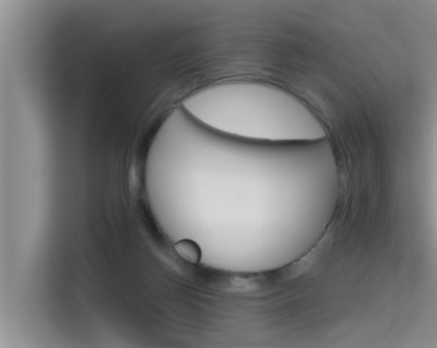 X0000115610166200911100939