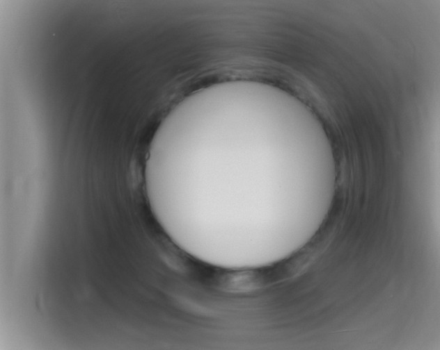 X0000115610173200911100939
