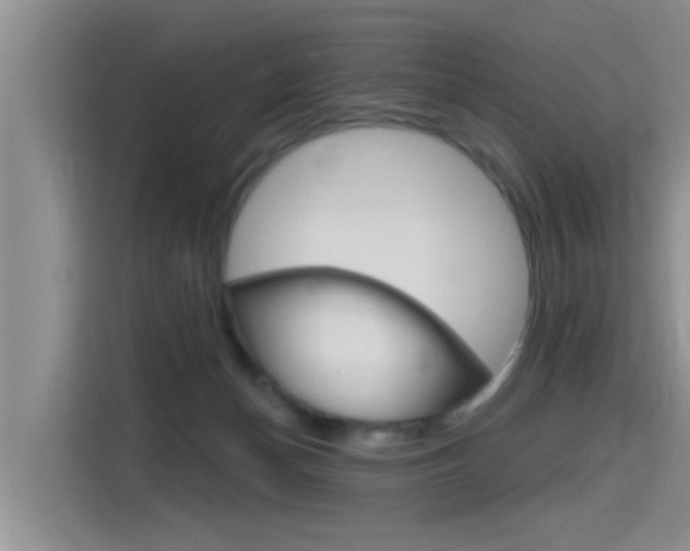 X0000115610174200911100939