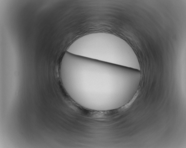 X0000115610182200911100939