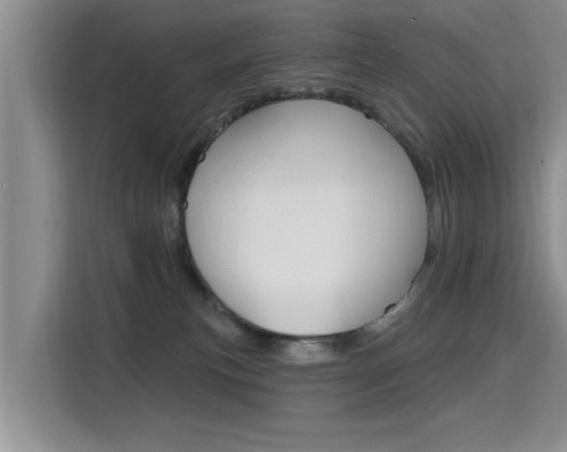 X0000115610183200911100939