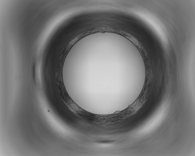 X0000115610189200911100939