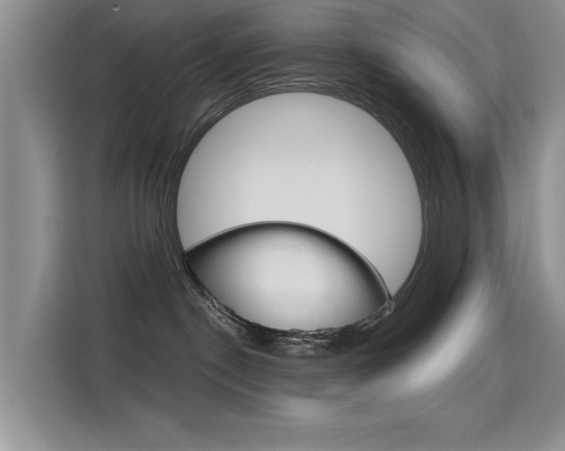 X0000115610190200911100939