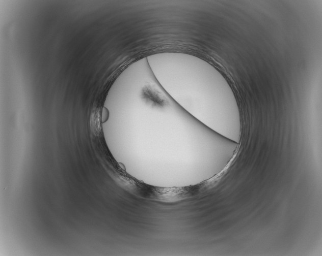 X0000115610191200911100939