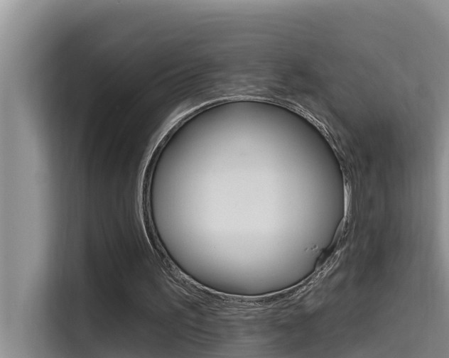X0000115610195200911100938